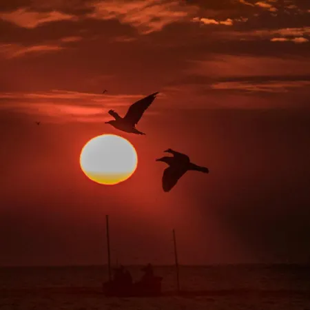 شقة Sevdi - 2 Min De Plaja إيفوري نورد