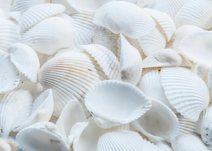 Sevdi - 2 Min De Plaja * Észak-Eforie